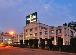 Mapple Hotels, Group of hotel
